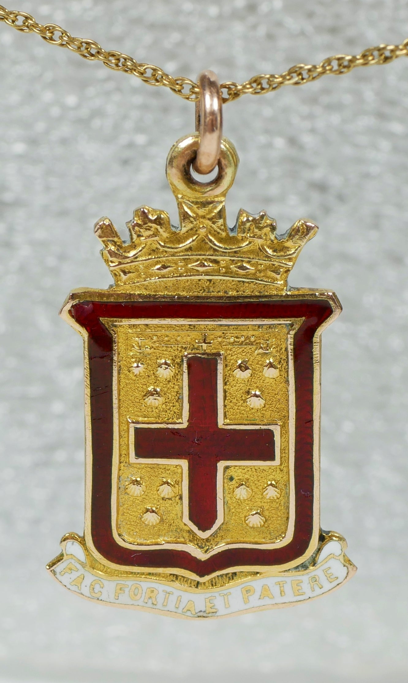 Antique Solid 9ct Yellow Gold Prince Alfred College Adelaide Pendant Medal Crest