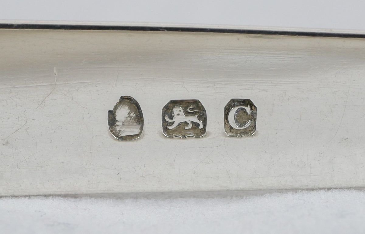 Image #8