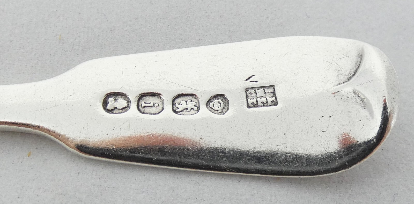 Image #8