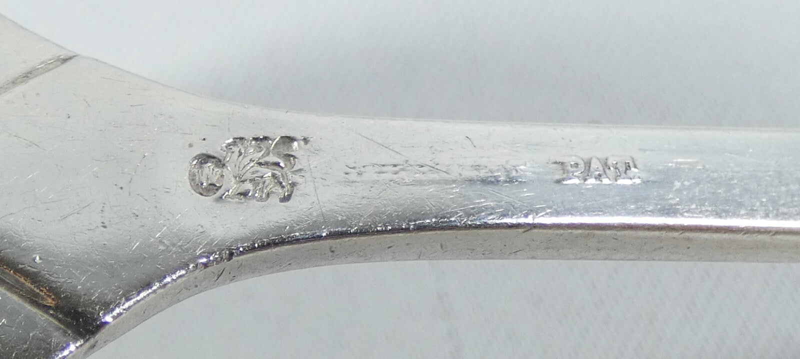Image #8