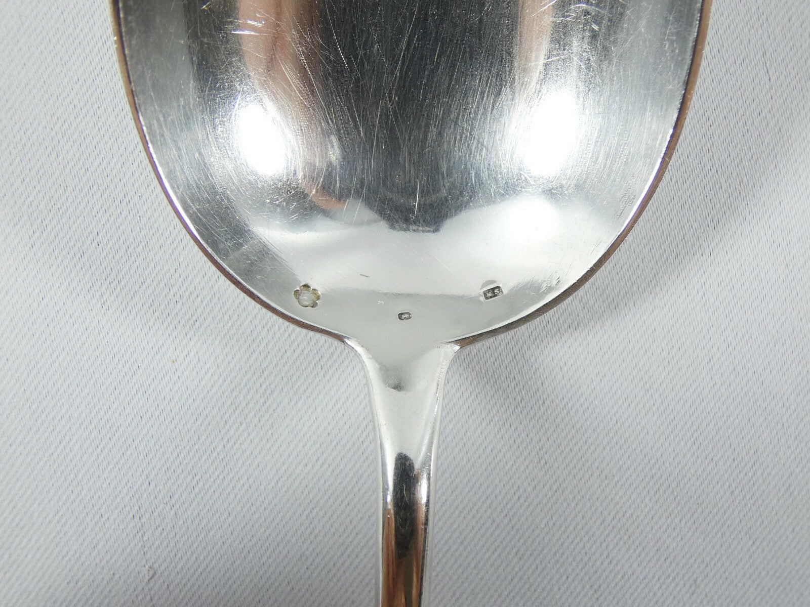 Image #8