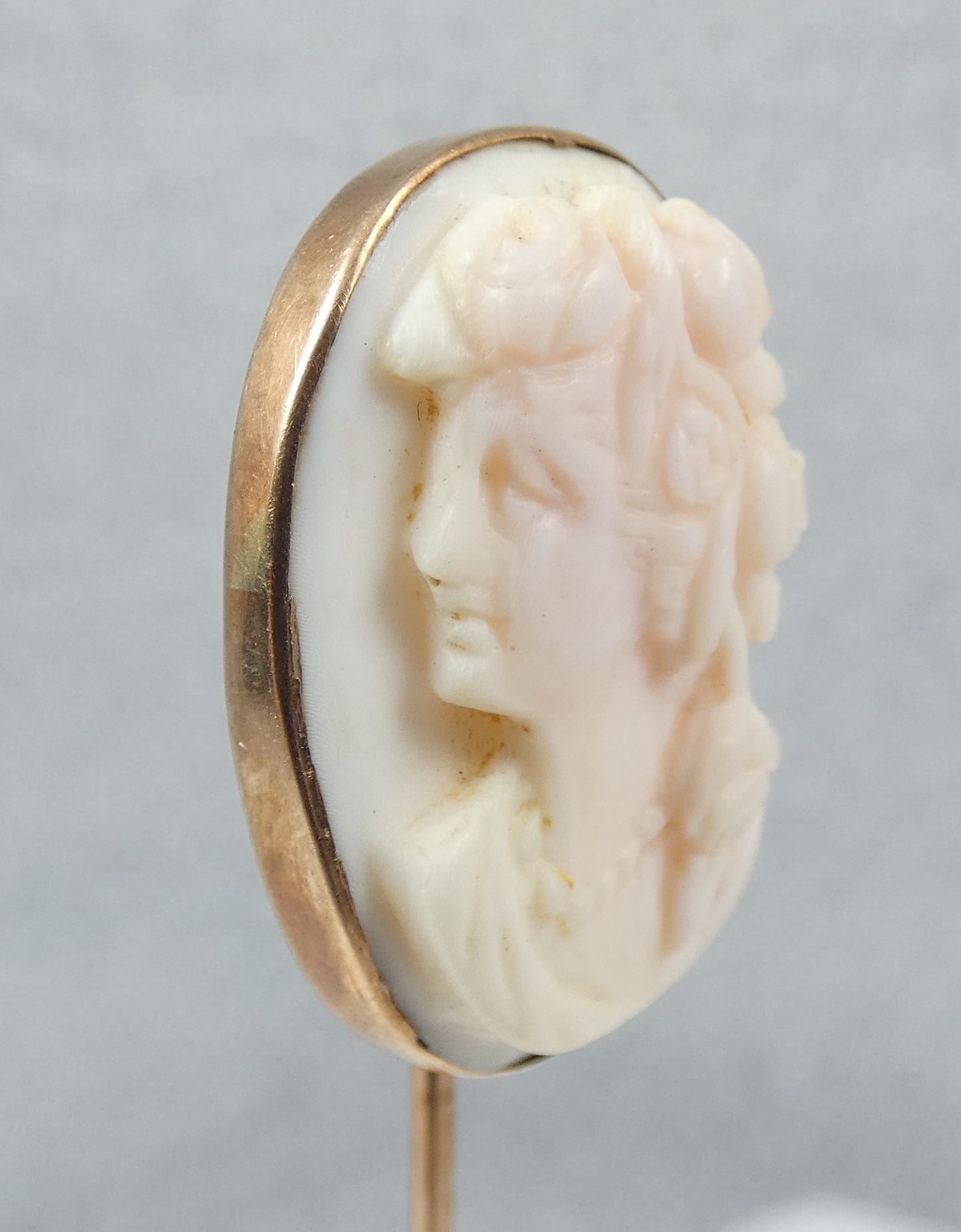 Antique Edwardian Solid 9ct Gold Large 95mm Conch Shell Cameo Stick Hat Pin Lady