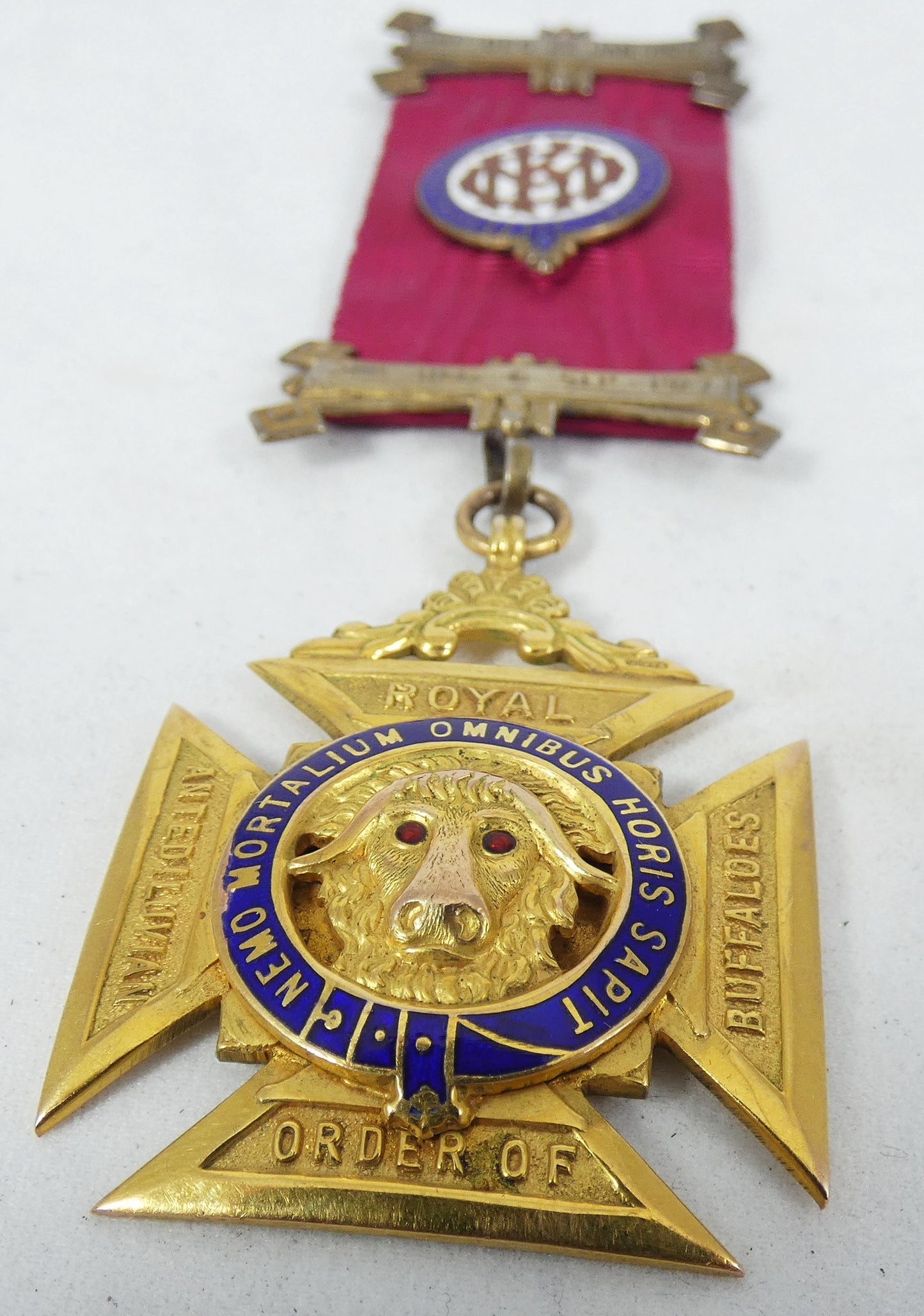 Antique 1932 Heavy 22gm 9ct Yellow Gold RAOB Medal Pendant Royal Buffaloes Sash